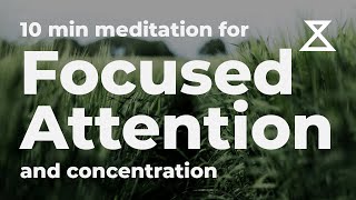 10 Minute Guided Meditation for Focused Attention and Concentration No Music Voice Only [upl. by Ahsikyw]