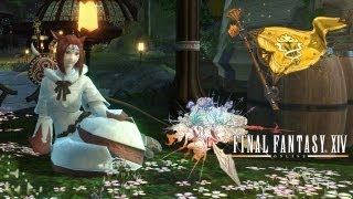 FFXIV 10 Cutscenes  Gridania amp Twin Adders [upl. by Yror645]