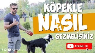 Köpekle Nasıl Gezinti Yapmalısınız [upl. by Tomasz170]