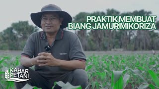 PRAKTIK MEMBUAT BIANG JAMUR MIKORIZA  Kabar Petani [upl. by Papagena543]