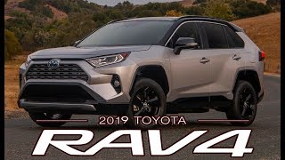 2019 Toyota RAV4 XSE Hybrid – Interior Exterior and Drive [upl. by Landa15]