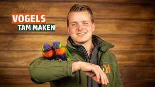 Jouw vogel tam maken  Stap voor stap uitgelegd [upl. by Nireil]