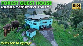 FOREST COTTAGES  WILD ANIMALS on CAMERA  ANAMALAI TIGER RESERVE  POLLACHI TOPSLIP ACCOMMODATIONS [upl. by Nimesay366]