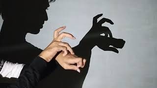 Hand shadow Performance III Make fox By Hand shadow  Shadowgraphy  shadoes [upl. by Herv]