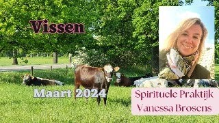 VISSEN MAART 2024 VEEL MOGELIJKHEDEN LEIDEN JE NAAR DE JUISTE WEG [upl. by Mercy]