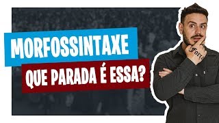 O QUE É MORFOSSINTAXE Pablo Jamilk [upl. by Yesima]