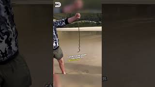 How to Dig Sandworm When it’s Low Tide and Great for Bait🎣👍🪱 [upl. by Barnet199]