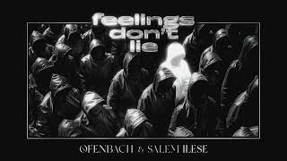 Ofenbach amp salem ilese  feelings dont lie Official Audio [upl. by Esdnyl]