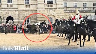 Another spooked Household Cavalry horse throws rider during military parade in London [upl. by Ellyn]