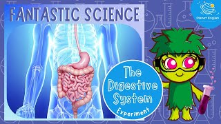 Digestive System Model  Kids Science  Experiment [upl. by Ycram72]