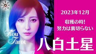 【八白土星】2023年12月の運勢／忙しくて大変だけど達成する！ [upl. by Aillicsirp167]