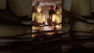 Lord Buddha statues in Dambulla cave temple in Sri Lanka [upl. by Garv956]