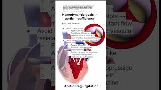 Hemodynamic goals in aortic insufficiency [upl. by Aloysius82]