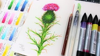 Beautiful Thistle in Watercolor Markers  Draw amp Paint Tutorial [upl. by Guenzi686]