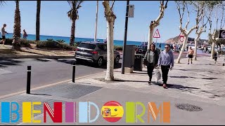 Benidorm INFO WALK☀️💬quotKing Avenuequot To PONIENTE BEACH🍻🌊Corona del Mar Shops amp Bars🛍️🏨🇪🇦 benidorm [upl. by Ttirrem]