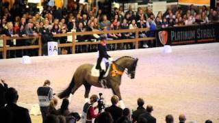 Valegro  KWPN Horse of the Year 2014 [upl. by Porte]