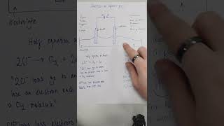 Electrolysis  KCl Solution  Half Equations Included [upl. by Catharina]