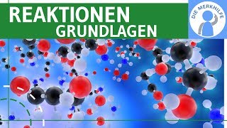 Reaktionen  Grundlagen Ladung Elektrophile Nucleophile einfach erklärt  Organische Chemie [upl. by Ettenhoj]