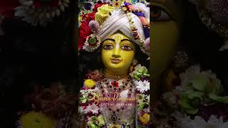 Gaura Purnima 2024  HKM Mumbai [upl. by Besse]