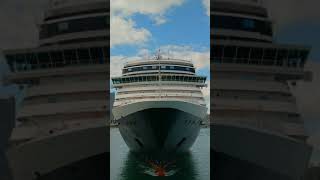 MS Nieuw Amsterdam Cruise Ship [upl. by Almire]