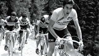 Eddy MERCKX  De Mooiste Momenten [upl. by Brigham345]