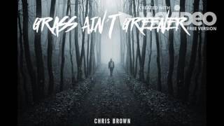 Chris Brown  Grass Aint Greener Official Instrumental [upl. by Nnaycart]