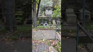 ASMR walk in Graveyard  Headstone Crow cry Cimetière de Montmartre Montmartre Cemetery S685✝️ [upl. by Llezo171]