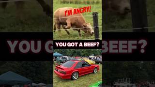 Tough Red Mustang vs Angry Red Bull🤬cars animals shorts [upl. by Olegnaid]