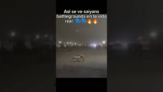 Asi se ve 🗣️🔥🔥 humor anime tsb saiyansbattlegrounds goku AlexRBX01 roblox [upl. by Eneladgam26]