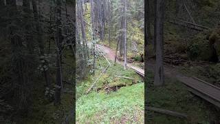 Canmore Nordic Centre mtb vacation travel family [upl. by Blinnie]