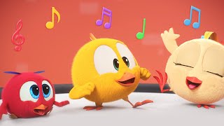 Chickys music group  Wheres Chicky  Cartoon Collection in English for Kids  New episodes [upl. by Siravart111]