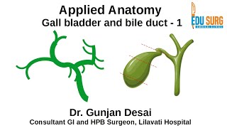 Mastering Gallbladder and Bile Ducts anatomy part 1 [upl. by Acireed]