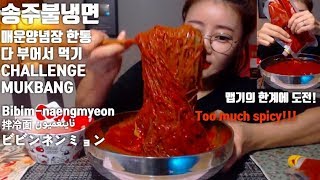 ENG송주불냉면 매운양념장 한통 다 부어먹기 도전 먹방 Challenge mukbang spicy Bibimnaengmyeon 拌冷面 ビビンネンミョン ناينغميون [upl. by Aleen]