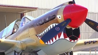 Curtiss P40 Warhawk Engine StartUp flyby amp Engine ShutDown [upl. by Hootman]