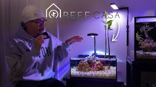 Is this High Quality Pico Aquarium the Best On the Market [upl. by Feldt]