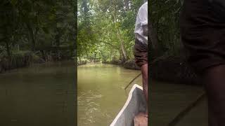 Punting in Kerala indien kerala backwaters trivandrum thiruvananthapuram [upl. by Hartmunn26]