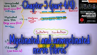 Myelinated nerve fibers  chapter 5 part 44  Guyton and hall text book of medical physiology [upl. by Moser402]