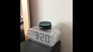 Alexa INTRUDER ALERT Compilation [upl. by Novaat]