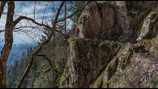 Massif des VOSGES  sentier des roches [upl. by Mendoza26]