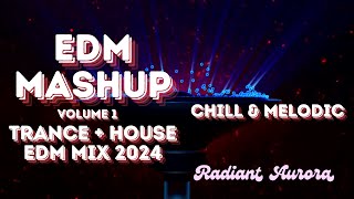 EDM Mashup 2024  EDM Mix 2024 Trance amp House Anthems  Volume 1 [upl. by Revolc]