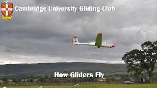 How Gliders Fly [upl. by Kciredor]