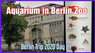 AQUARIUM IN BERLIN ZOO  BERLIN TRIP 2020 DAY 21 [upl. by Seamus]