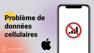 10 Astuces Comment résoudre les données cellulaires ne fonctionnent pas sur iPhone [upl. by Alviani]