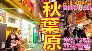 【4K立体音響】秋葉原 電気街 20231006 akihabara tokyo walk GoProHero12 [upl. by Niwde362]