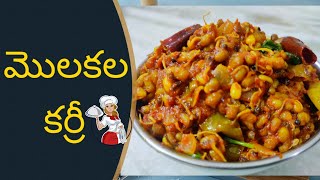 Sprouts Curry in Telugu  How to Make Sprouts Curry  Sprouts Recipes  Molakala Curry [upl. by Sprage468]