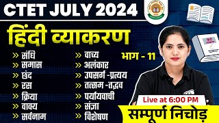 CTET July 2024  CTET Hindi Paper 2  Hindi Grammar CTET 2024 11  CTET Hindi Paper 1  Kalyani Mam [upl. by Yardna]