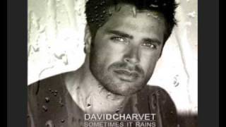 David Charvet  Fall into you [upl. by Gibeon]