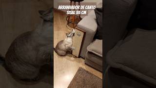 Arranhador de canto sinal 55 cm em nosso site wwwboutiquedogatocombr gatos arranhadorgato [upl. by Palumbo684]