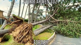 Storm Arwen in Formby with over 16 trees fallen at Formby Golf Club amp total of over 60 trees fallen [upl. by Stasny]