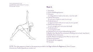 Week 3 Learning and Practicing Iyengar Yoga for Beginners [upl. by Renaxela]